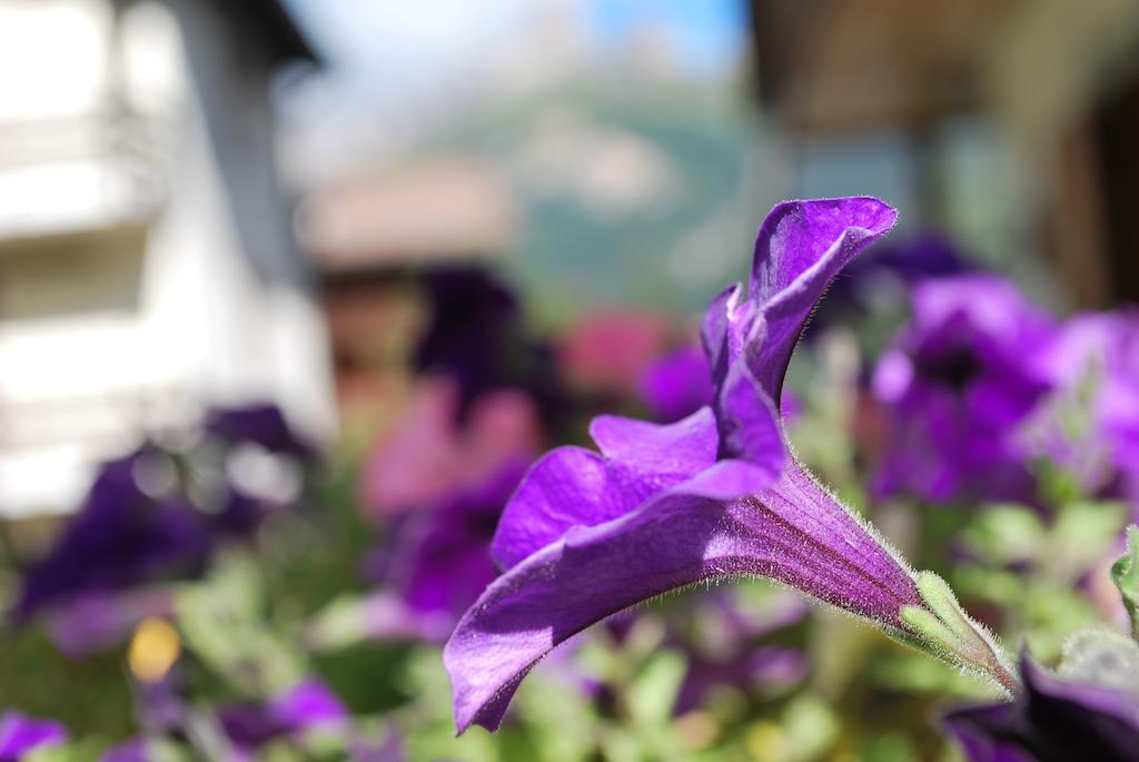Villa L'Aida Canazei Esterno foto